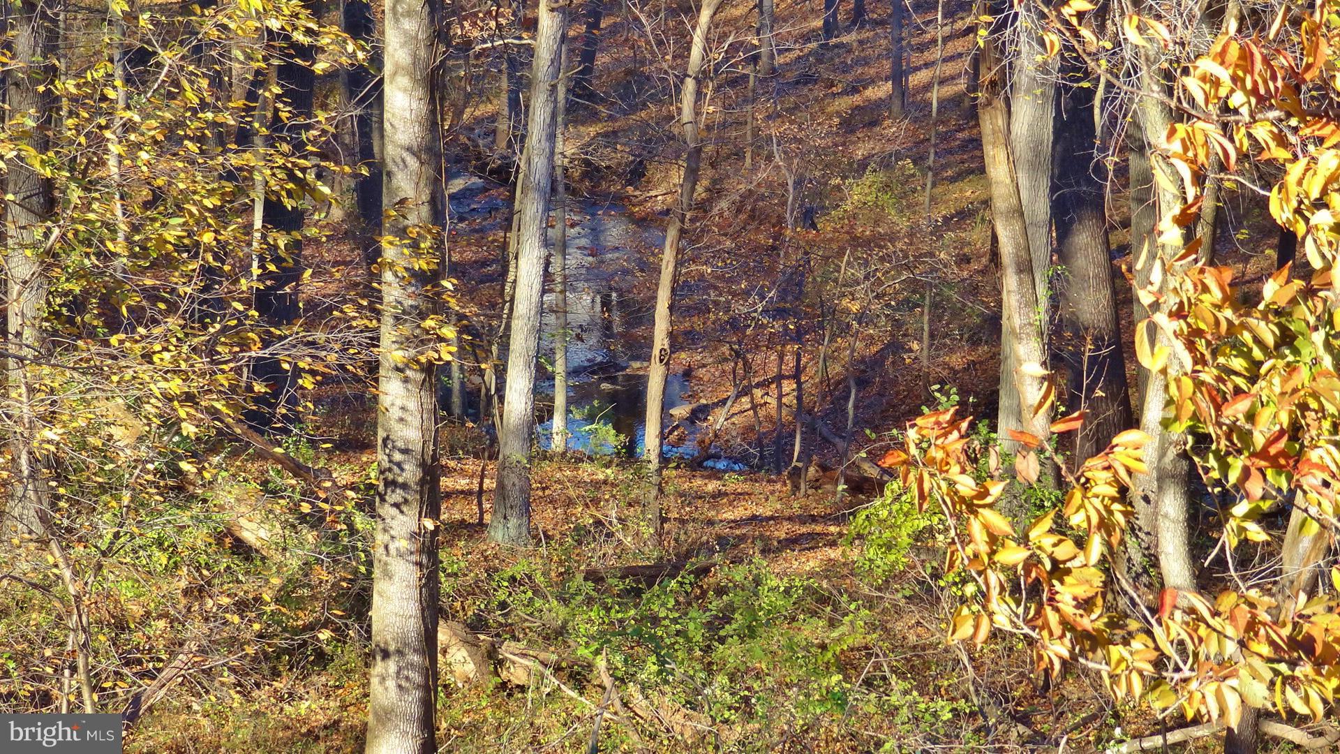 WASHINGTONIAN WOODS - Residential