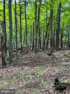 BEAVER DAM WOODS - Land