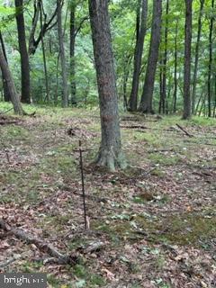 BEAVER DAM WOODS - Land