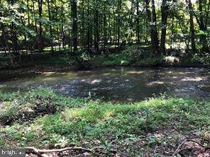 BEAVER DAM WOODS - Land