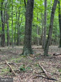 BEAVER DAM WOODS - Land