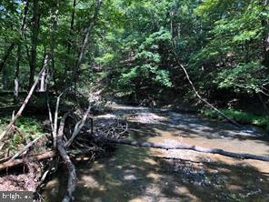 BEAVER DAM WOODS - Land