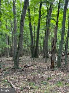 BEAVER DAM WOODS - Land