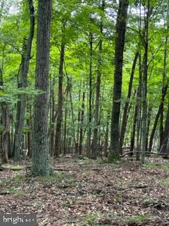 BEAVER DAM WOODS - Land
