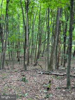 BEAVER DAM WOODS - Land