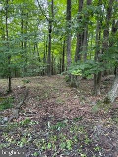 BEAVER DAM WOODS - Land