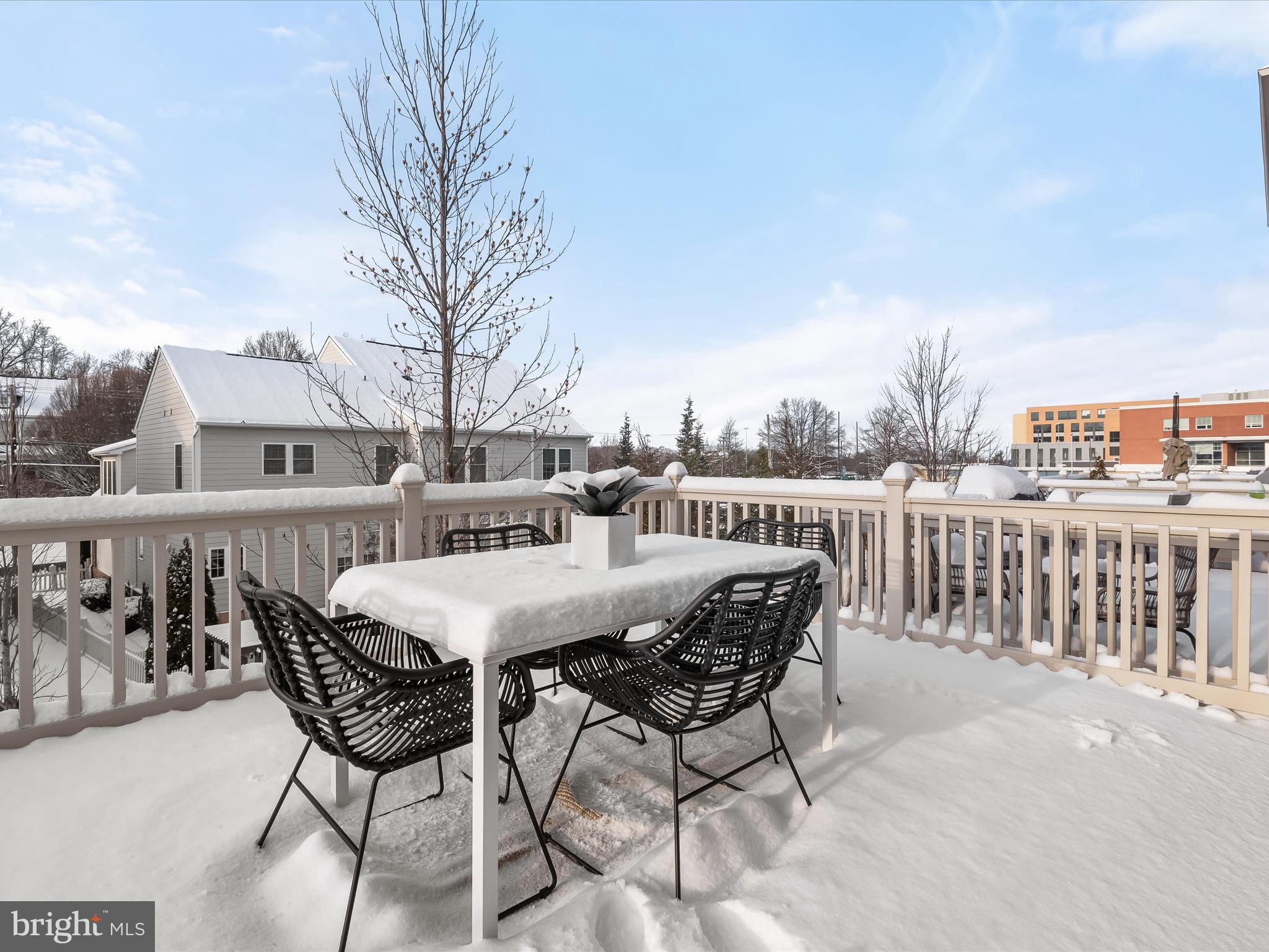 CHESTNUT PLACE - Residential