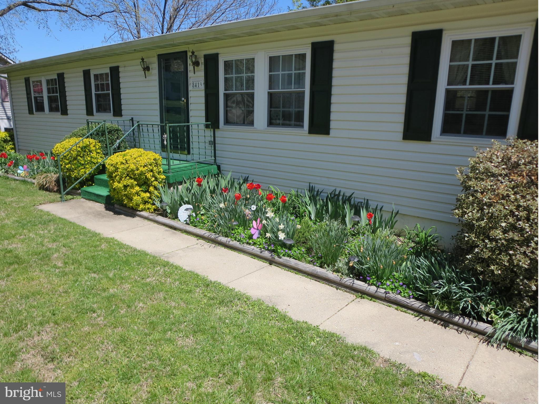 SAVAGE MEADOWS - Residential