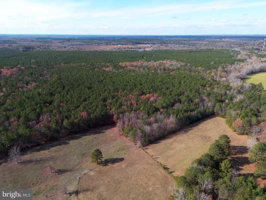 Amazing opportunity for those looking for a place to live in privacy and peace with nature in your own backyard. This property is tucked away on a unique 100-acre-plus, mostly wooded lot in historic and beautiful Caroline County, Virginia. A large, cleared trail surrounds the entire property, perfect for horseback riding, ATV riding, or just having a peaceful walk in the woods. Imagine building your home here.  Great fun searching for hidden treasures from historic eras.   Enjoy this haven from our busy world yet have convenient access to nearby amenities in all directions: shopping centers, healthcare facilities (some hospitals and doctors in Richmond are among the top rated in the United States), local schools and countless recreational activities such as boating, fishing, kayaking and canoeing on Lake Anna and the Rappahannock River, both approximately a half-hour away.  For golf enthusiasts, the beautiful Pendleton course is a mere six miles away. You’re bound to fall in love with this unique, secluded property which offers easy access to I-95, (3 miles away) with Richmond and Fredericksburg approximately a half-hour away.   Owner financing available with substantial down payment.