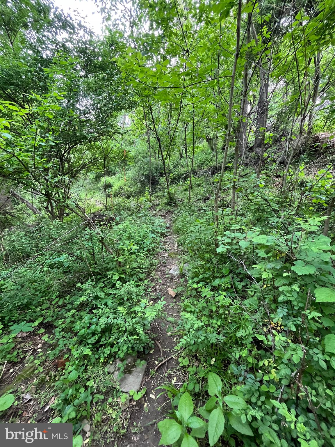 BRUNSWICK - Residential