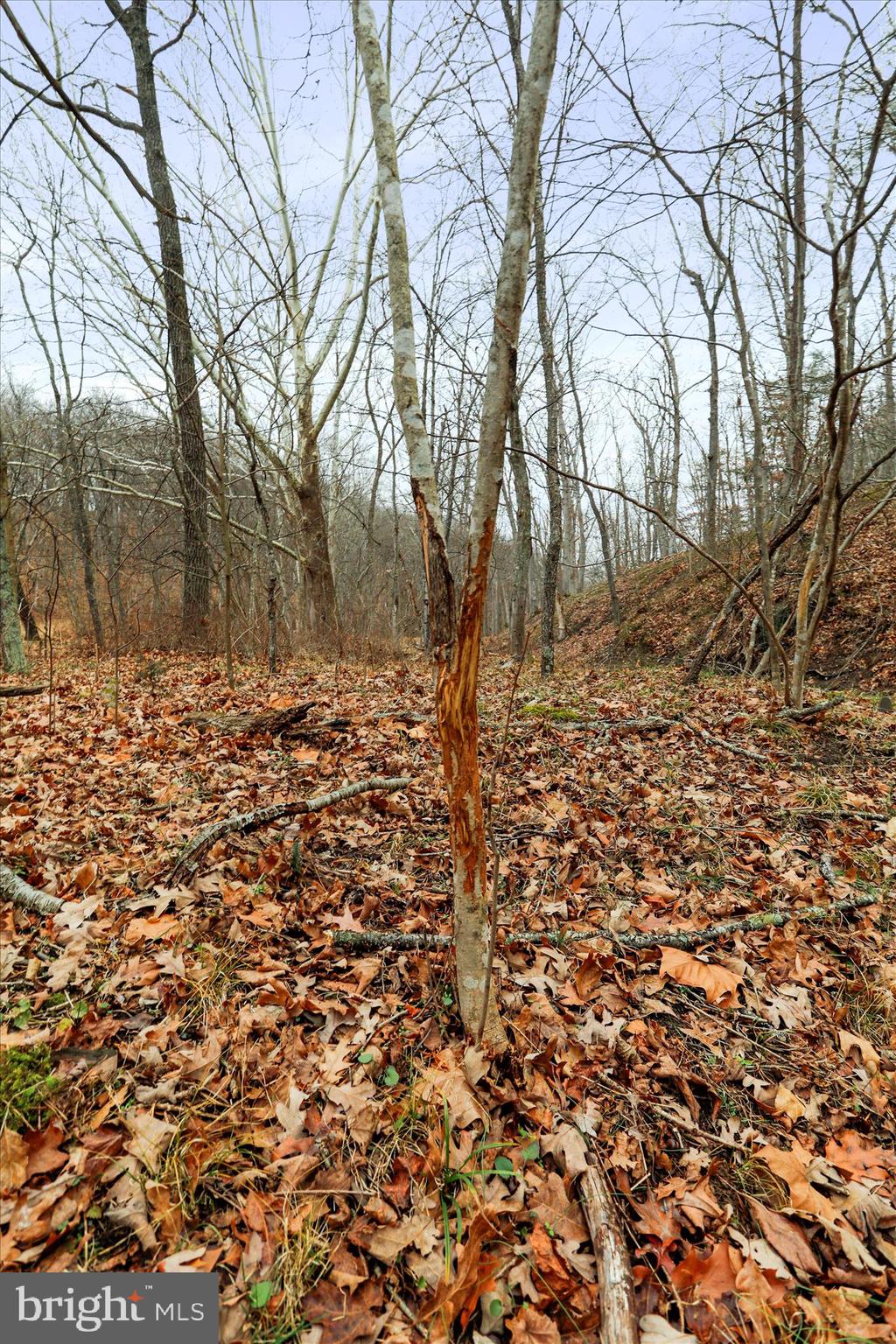 HAMILTON ESTATES - Land