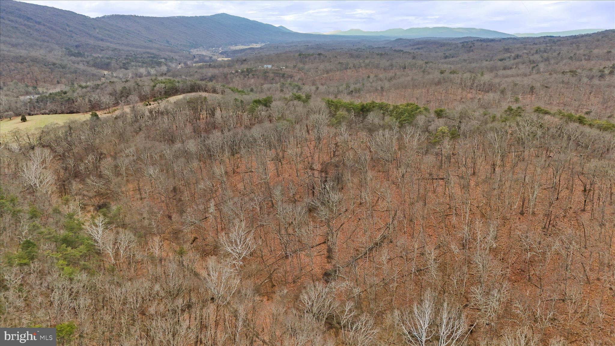 HAMILTON ESTATES - Land