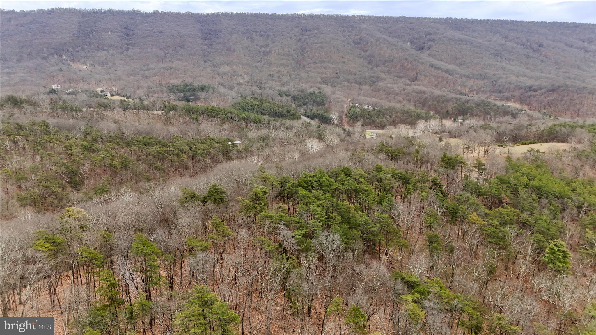 HAMILTON ESTATES - Land