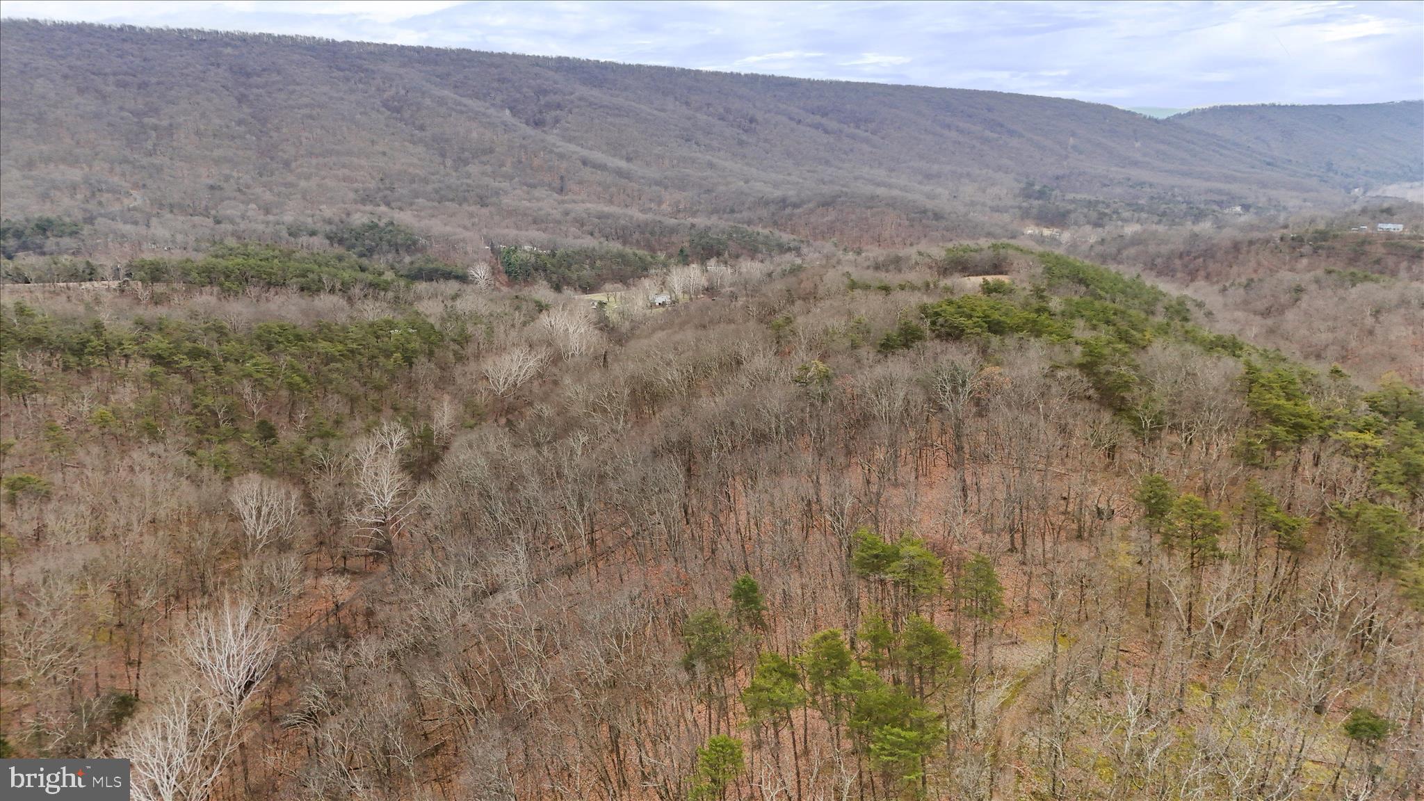 HAMILTON ESTATES - Land