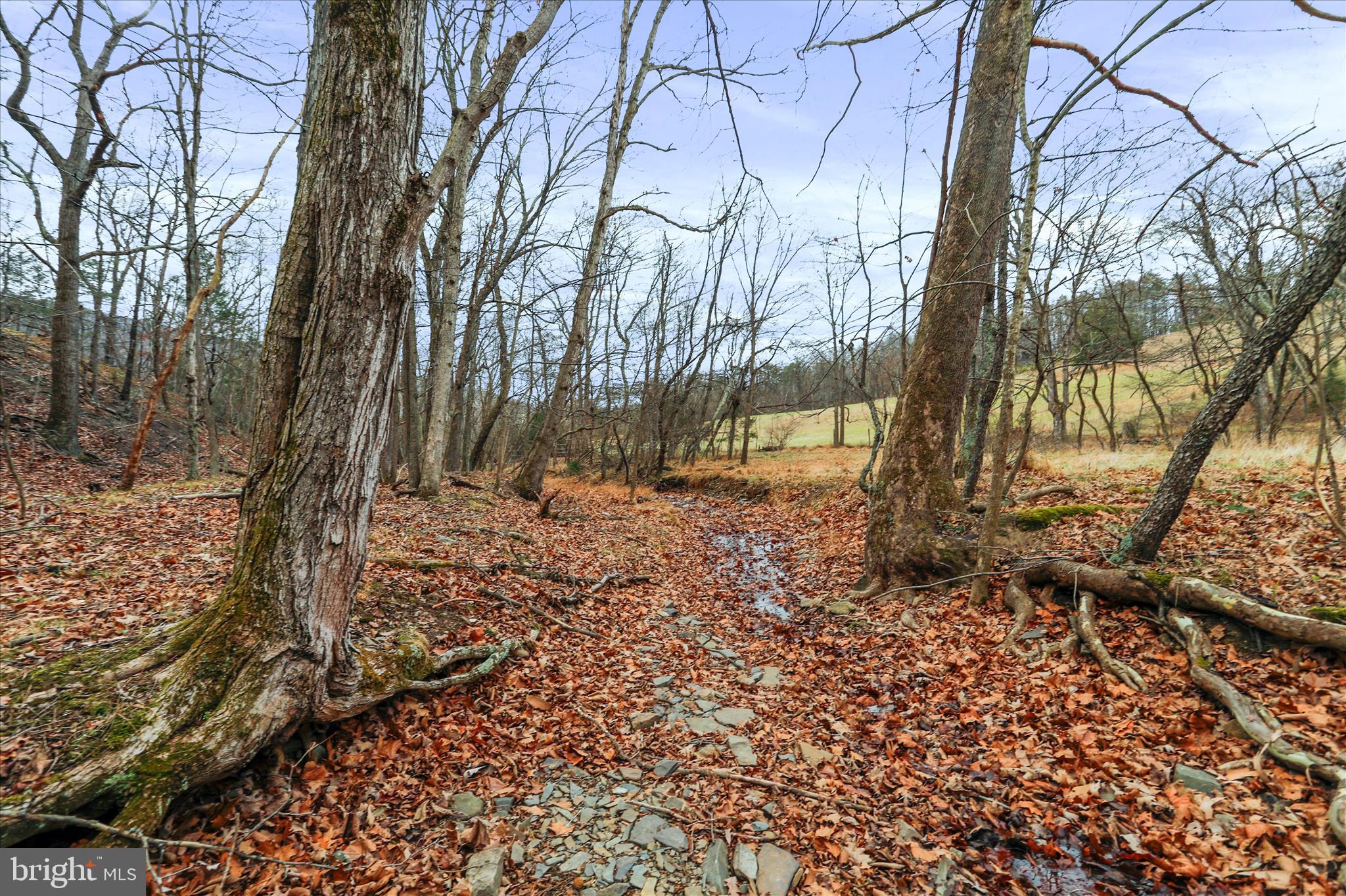 HAMILTON ESTATES - Land