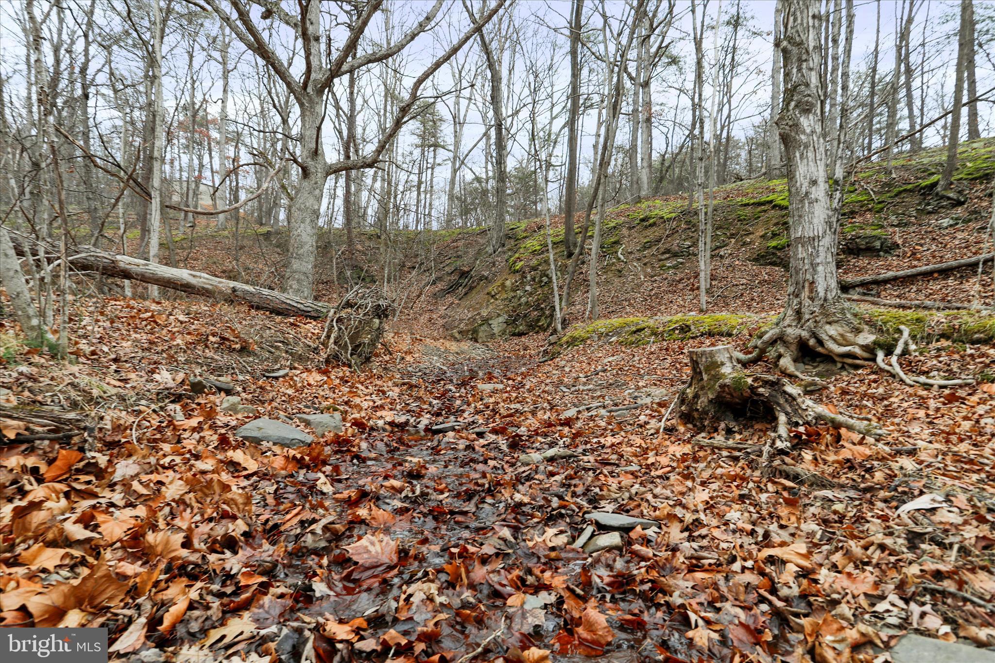 HAMILTON ESTATES - Land