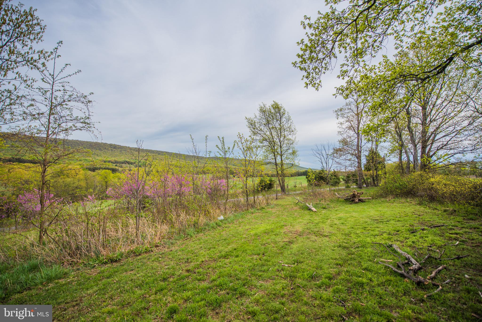 SHANGHAI PASS - Residential