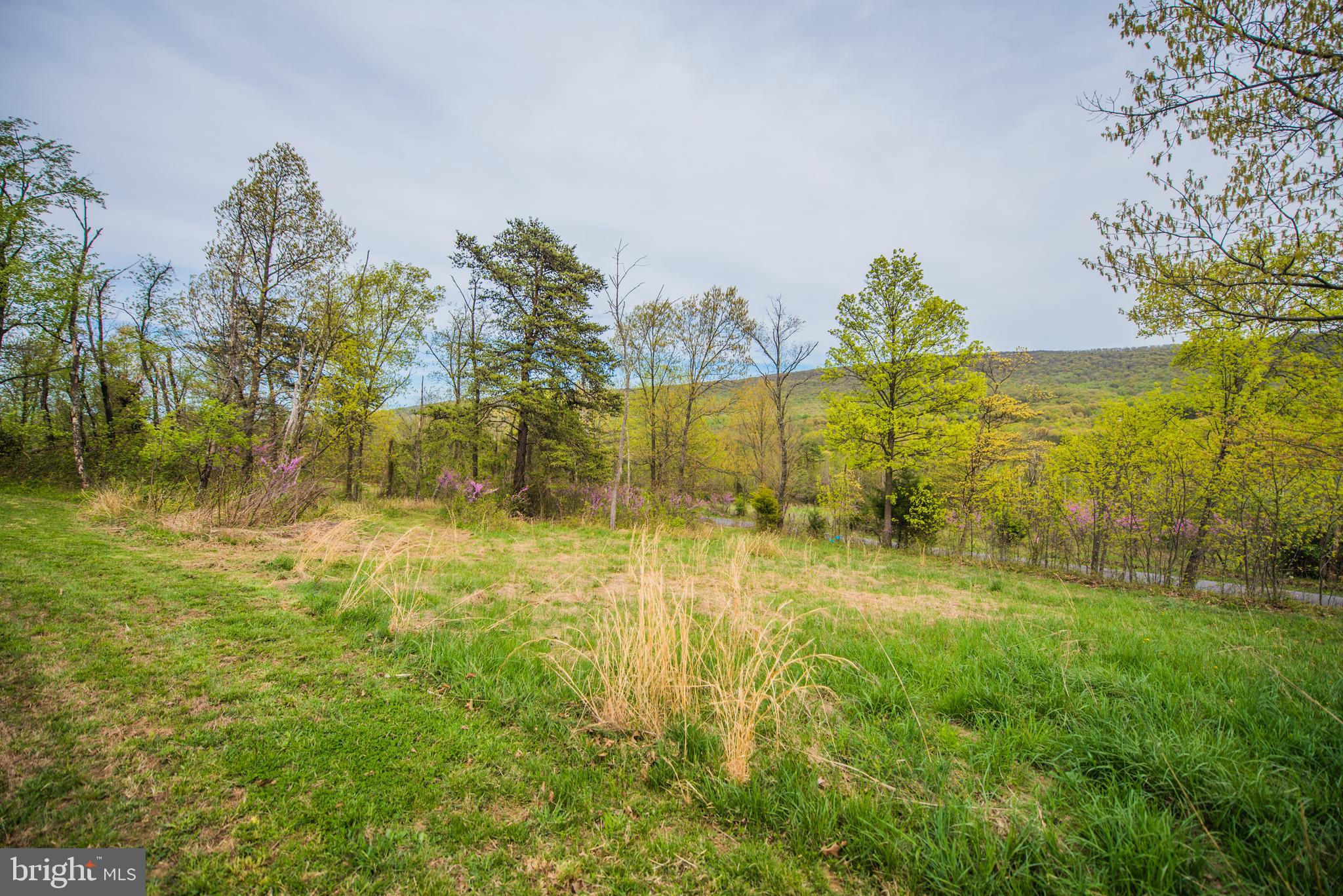 SHANGHAI PASS - Residential