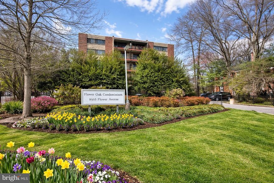 Welcome to 8308 Flower Ave #203—a beautiful inviting 1-bedroom, 1-bath condo ideally located just minutes from vibrant Downtown Takoma Park and convenient public transportation. Step inside to find gleaming hardwood floors and fresh, modern paint throughout. Relax in the spacious primary bedroom, complete with a generous walk-in closet. Enjoy your morning coffee or evening breeze on the private balcony. This condo offers comfort, convenience, and charm in one of Takoma Park’s most sought-after locations!