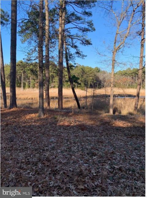 Vacant Land For Sale - 36357 Fir Drive<br/> REHOBOTH BEACH, DE 19971