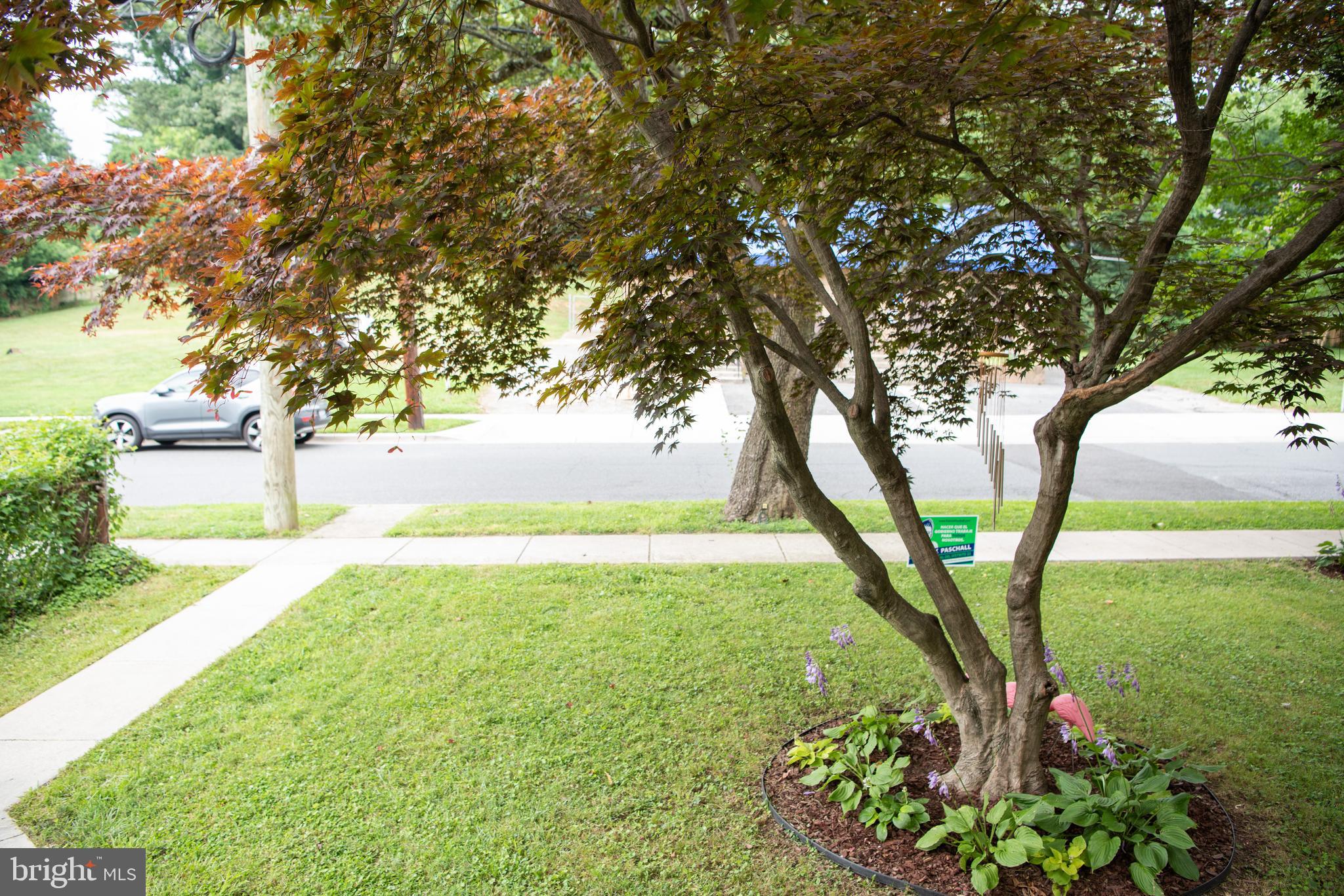 HYATTSVILLE HILLS - Residential