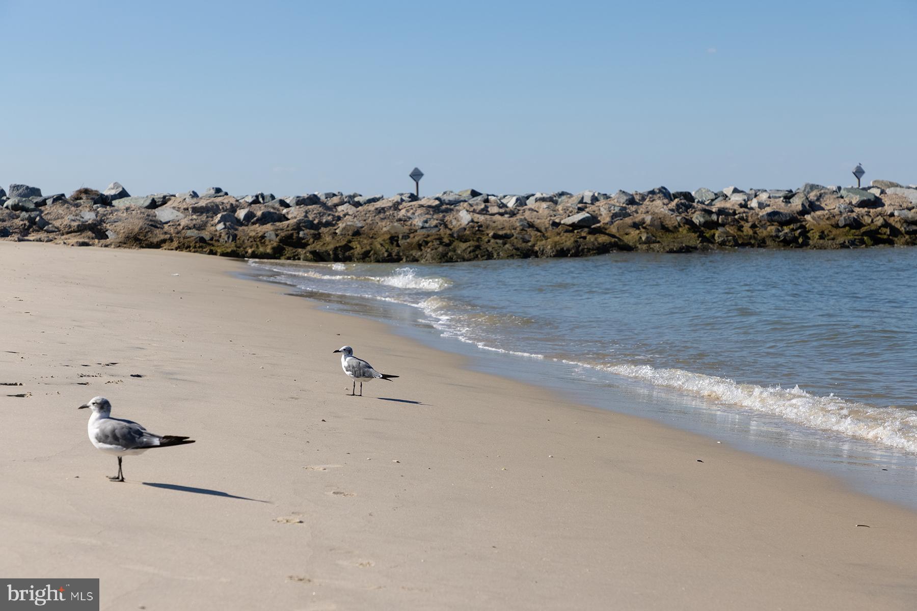 CAPE SHORES - Residential