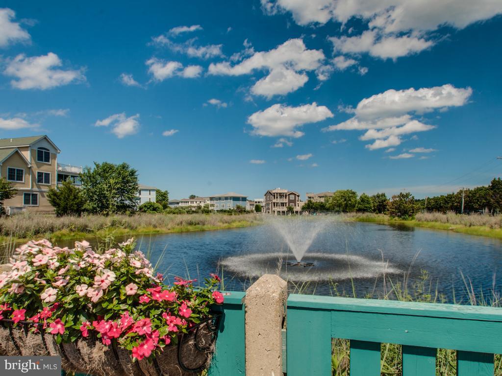 CAPE SHORES - Residential