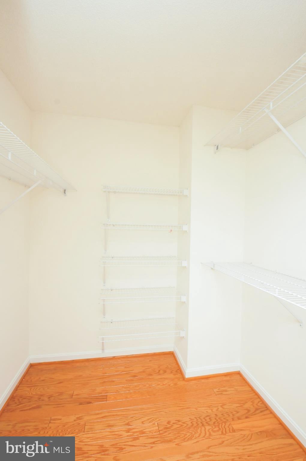 CARLYLE TOWERS - Residential