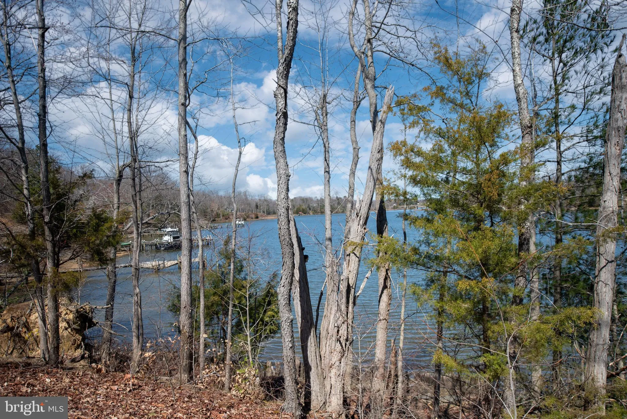 Montross, Virginia 22520, United States, 4 Bedrooms Bedrooms, ,1 BathroomBathrooms,Residential,Active,92980