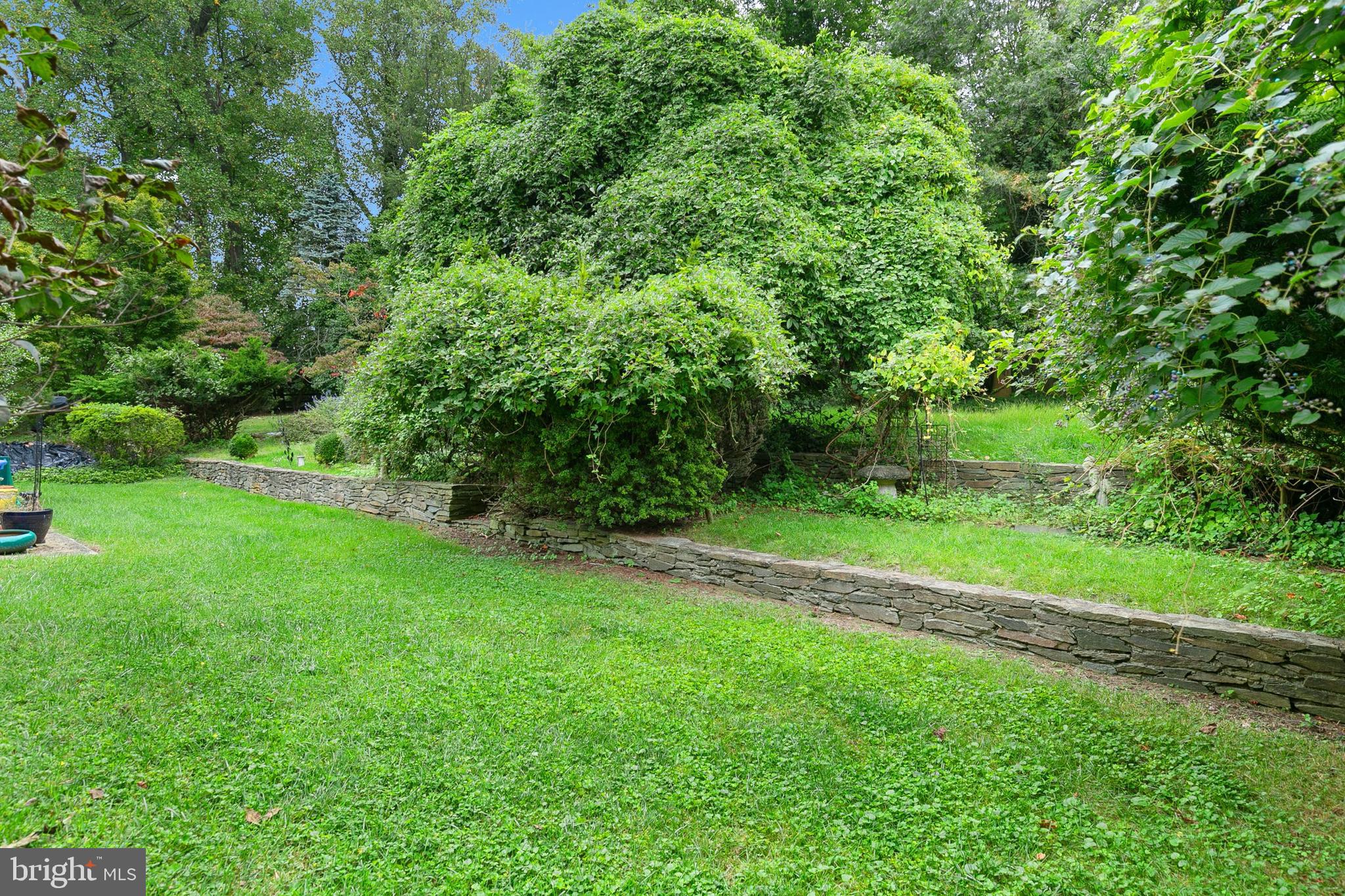 GEORGIAN FOREST - Residential
