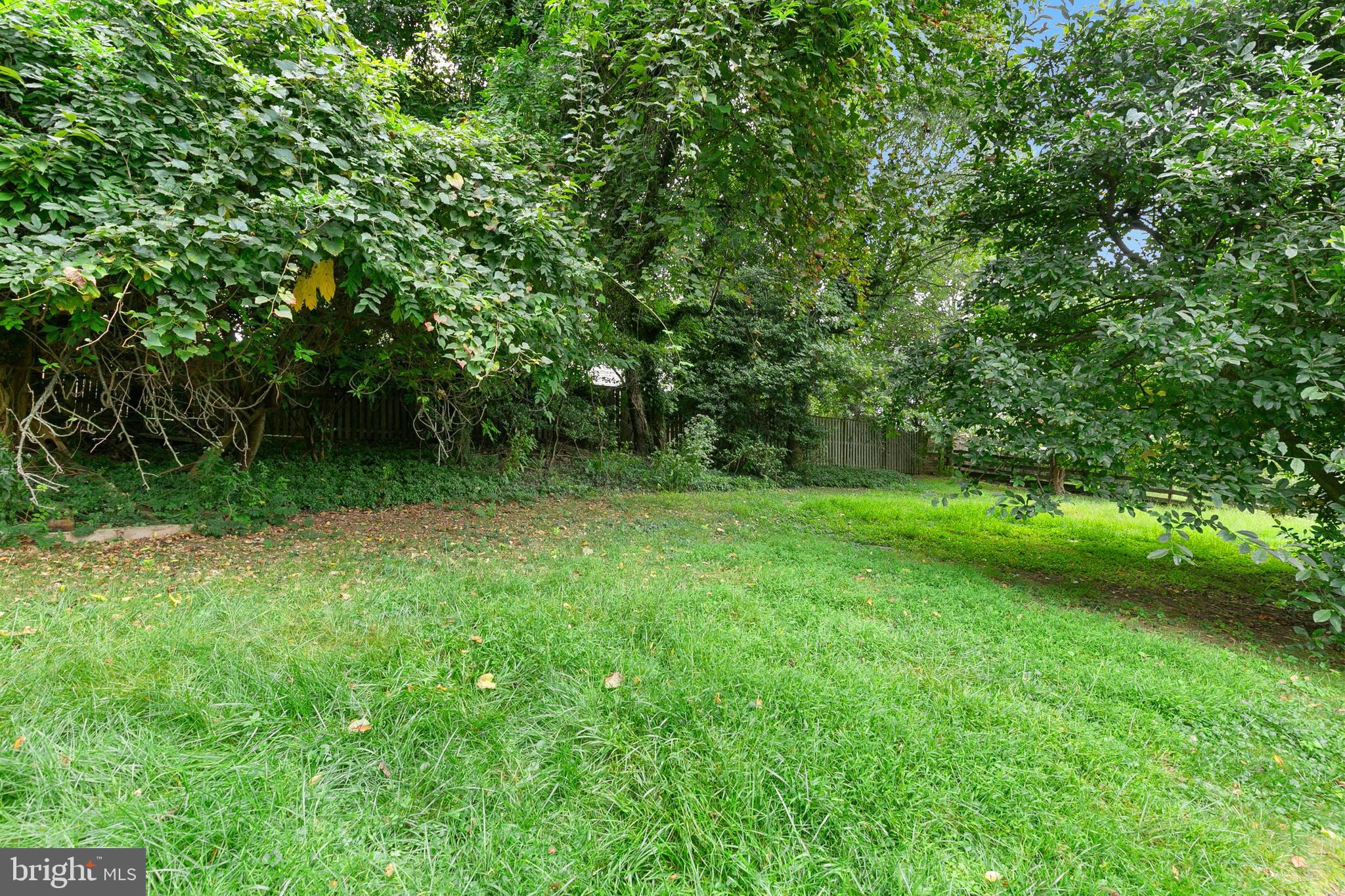 GEORGIAN FOREST - Residential