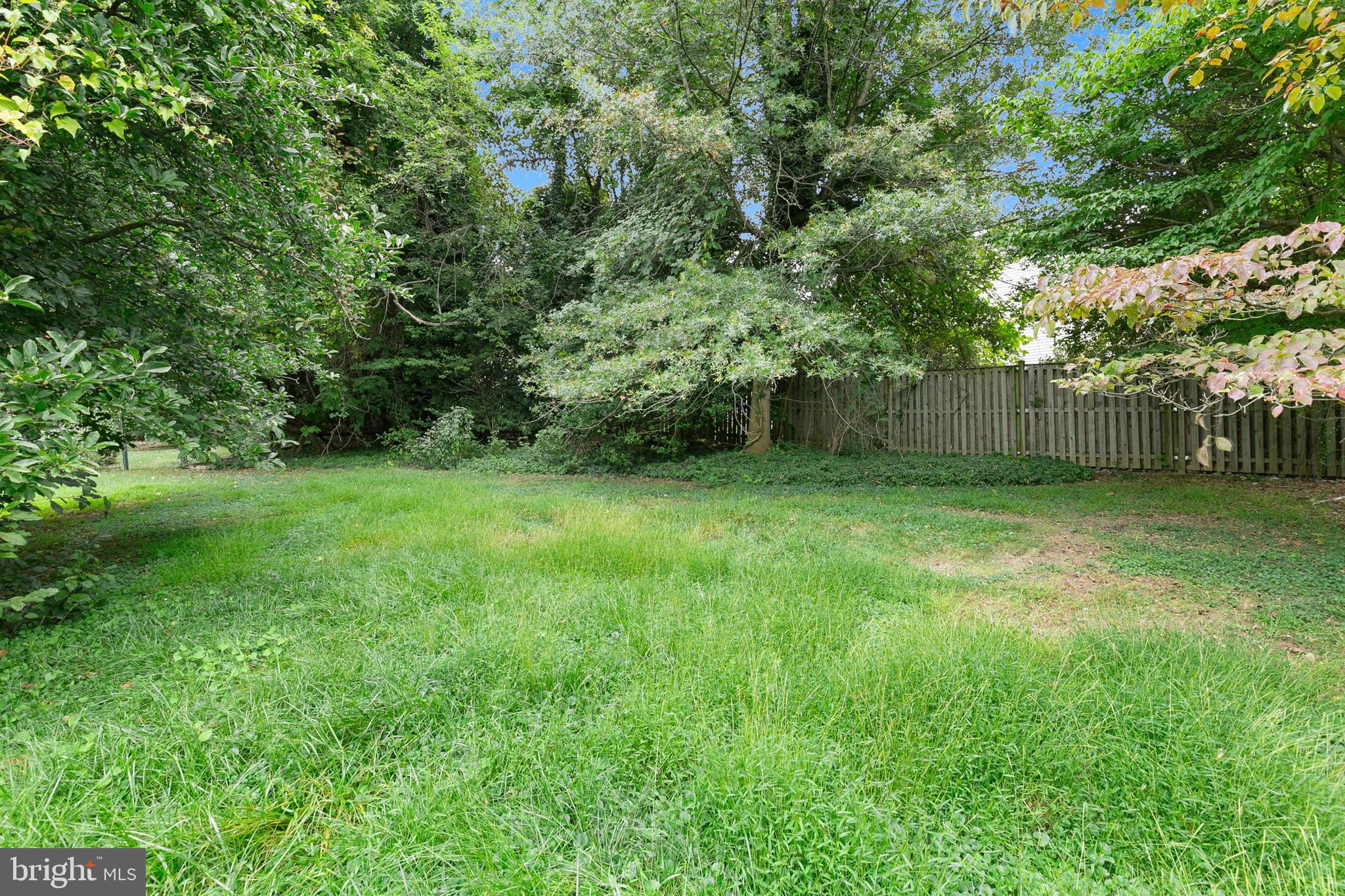 GEORGIAN FOREST - Residential