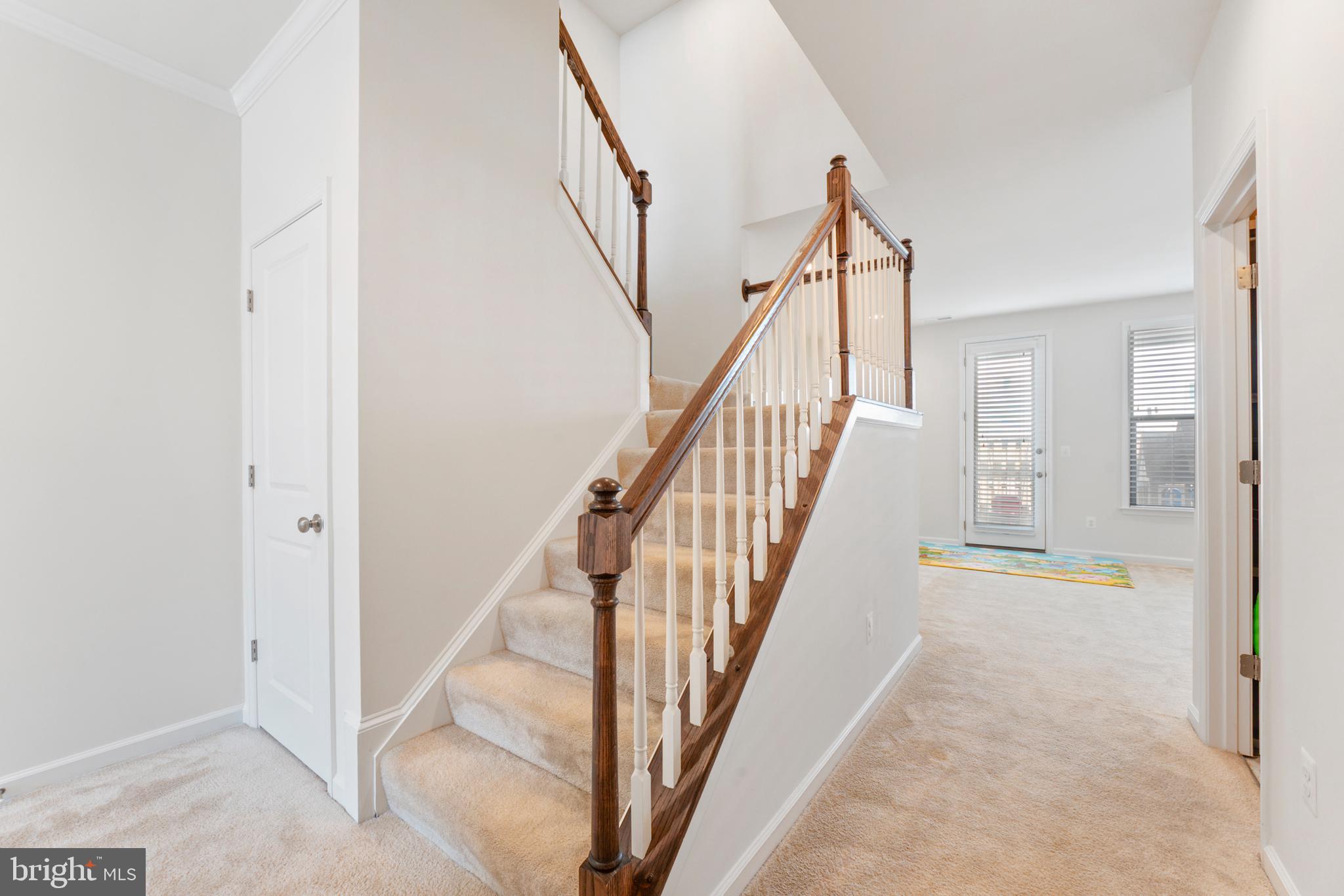 42344 ALDER FOREST TERRACE