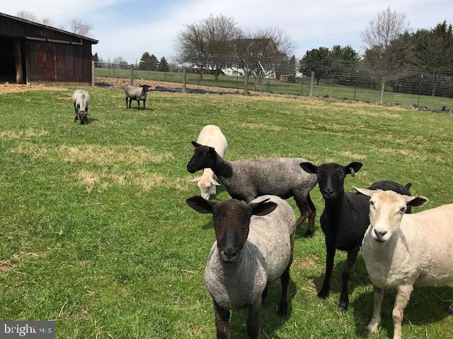 DENIT ESTATES - Farm