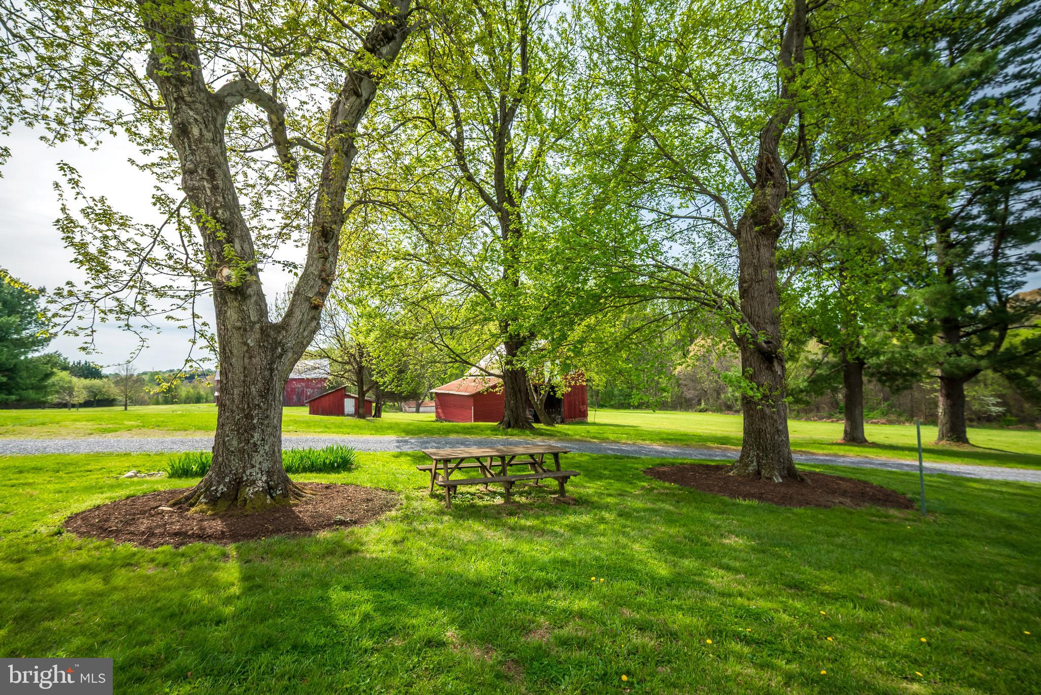 DENIT ESTATES - Farm