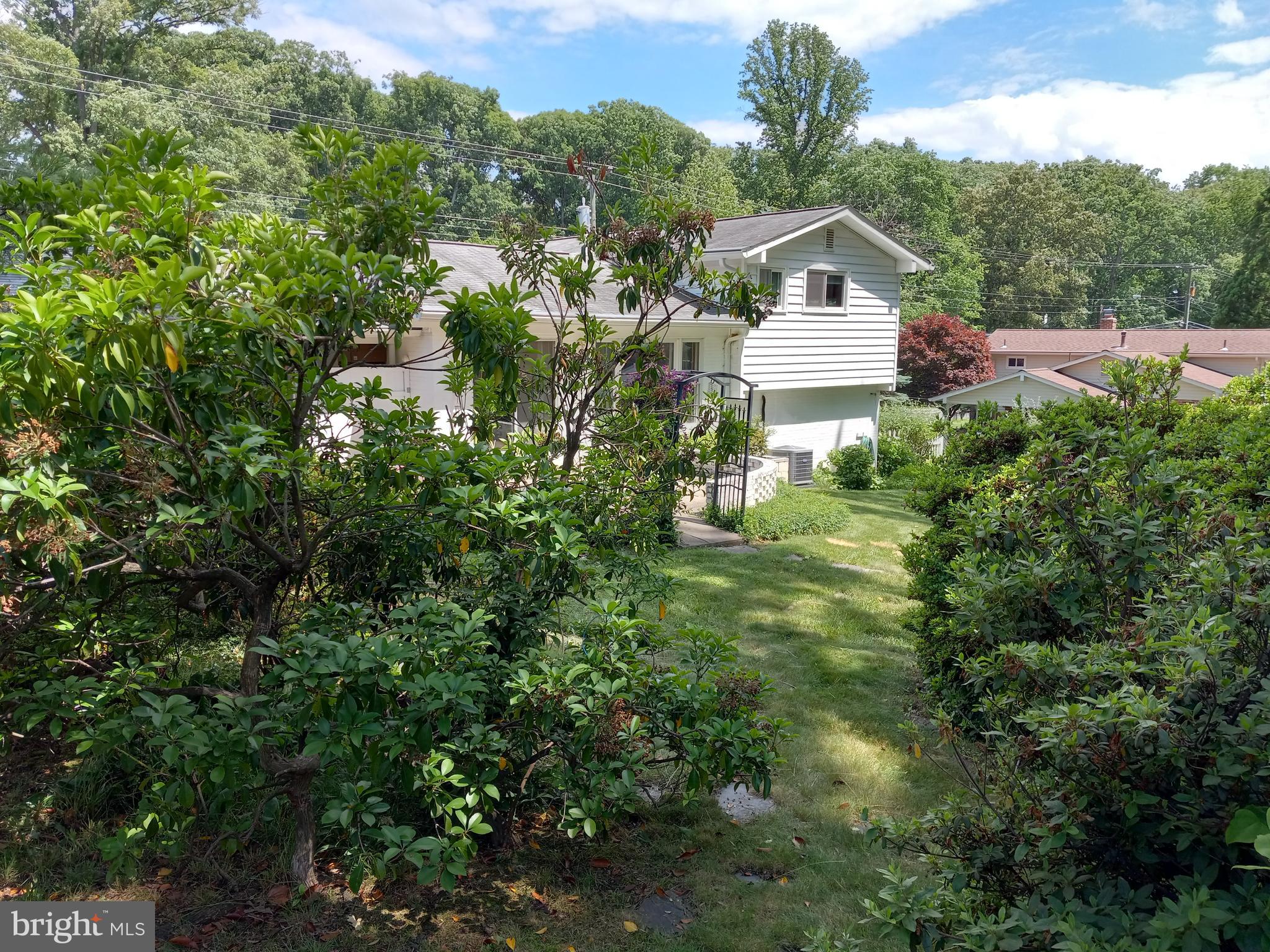 MAPLE HILL - Residential