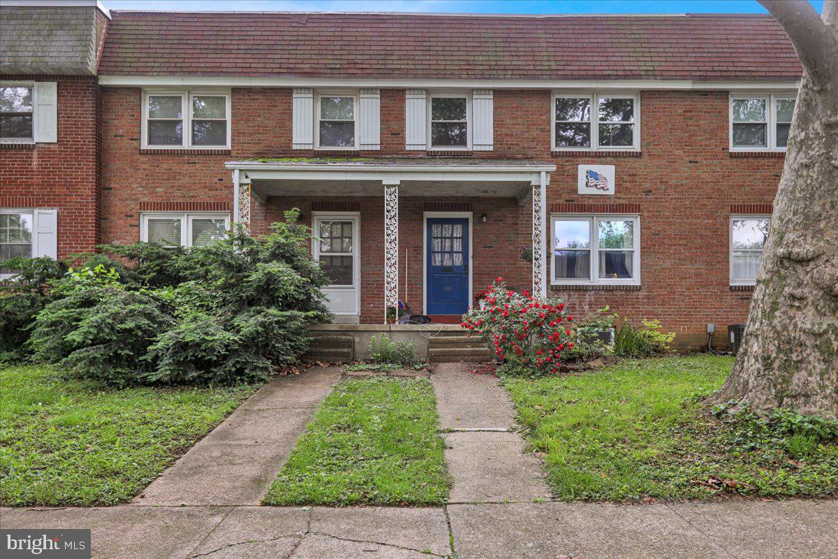244 SYCAMORE ROAD