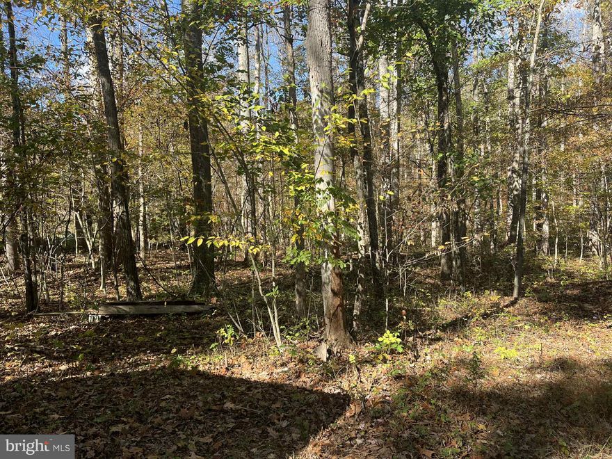 Level, Fully Wooded with Mature Hardwood, 2 Acre Property.  Gravel Driveway. Septic and  Electric are in Place.  Well has been Dug, Seller will Purchase a New Well Pump with Acceptable Offer.  One Camper Conveys, Repairs Needed Being Sold in As-Is Condition.  Shed on property.  Creek in the Back.  Property Fronts Hard Cap Road.  Close to  Short Mountain Public Hunting (8,000 Acres) is Nearby.