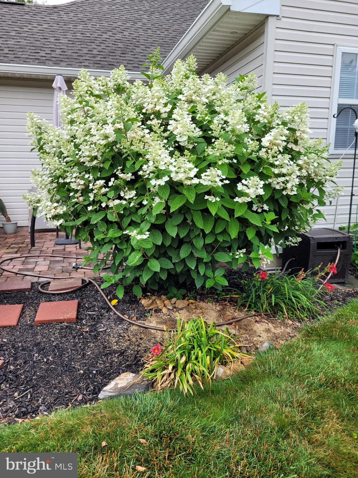 FLOWERS MILL - Residential