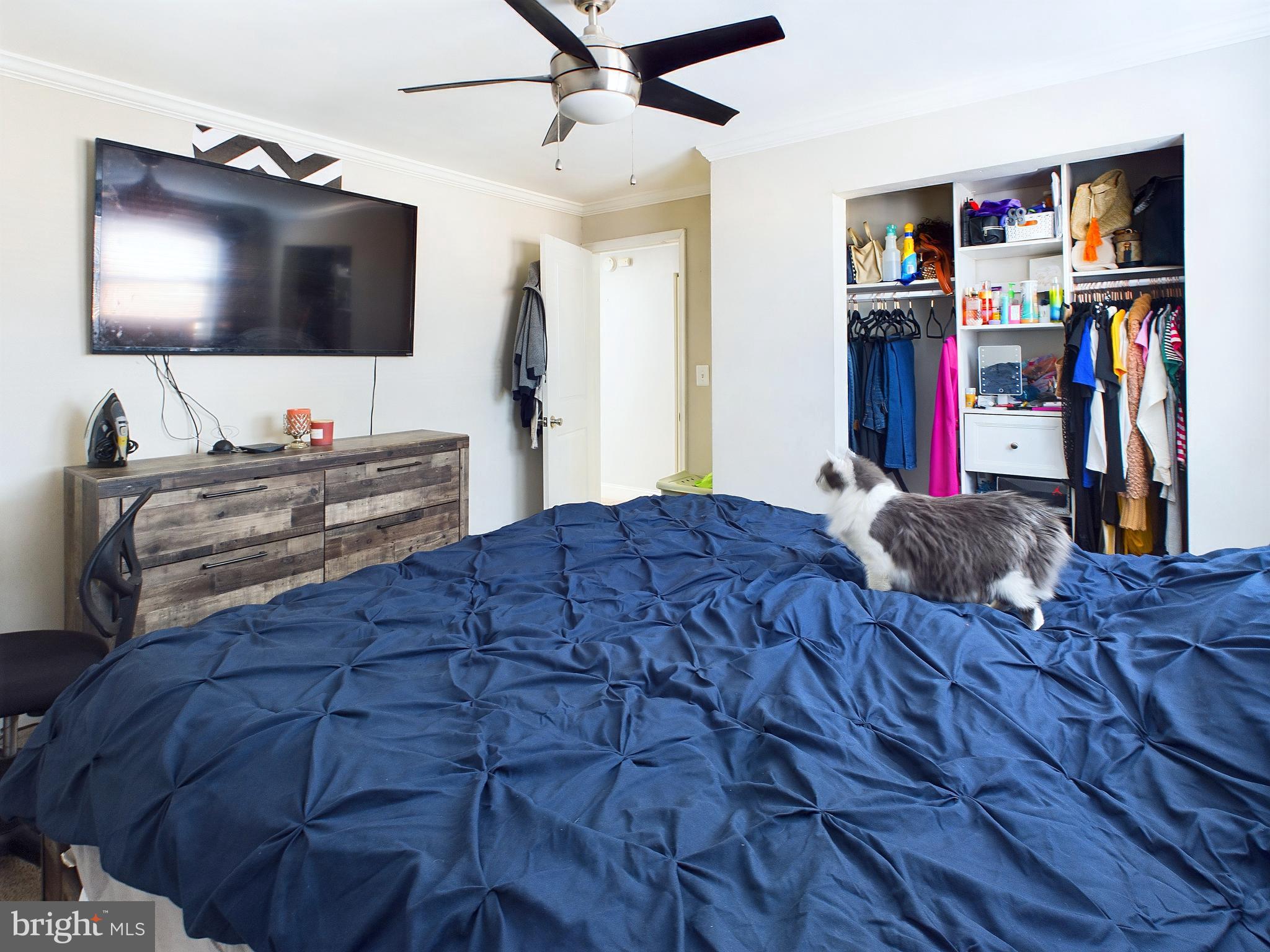 BELAIR-EDISON - Residential