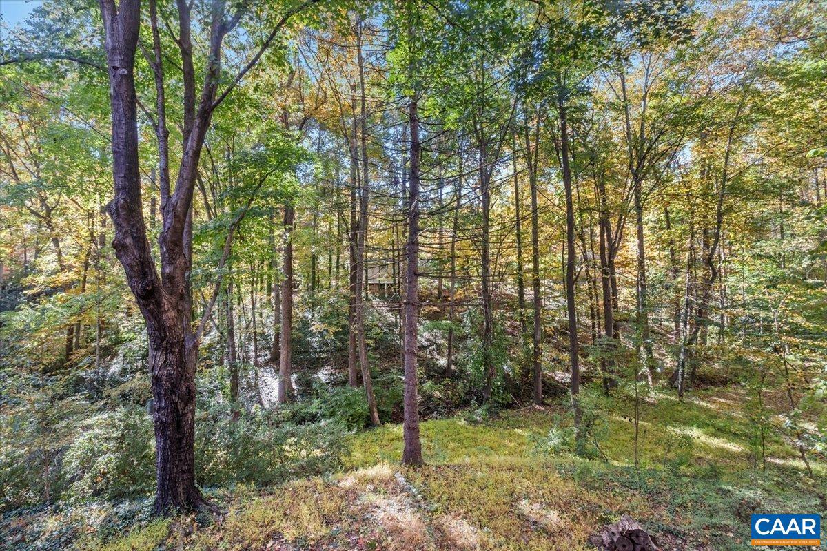 CANTERBURY HILLS - Residential