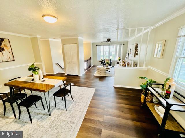 LINTHICUM HILLS - Residential