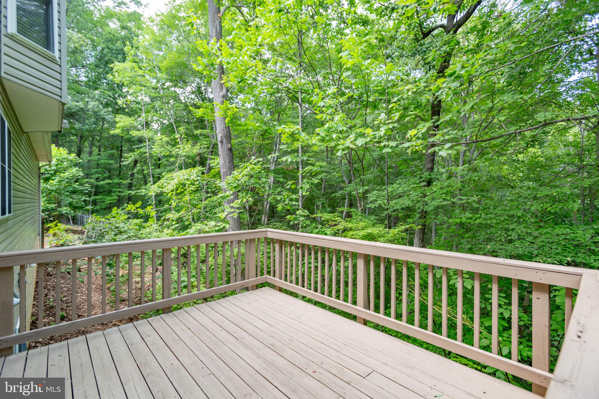 THE HILLS AT SNOWDEN - Residential