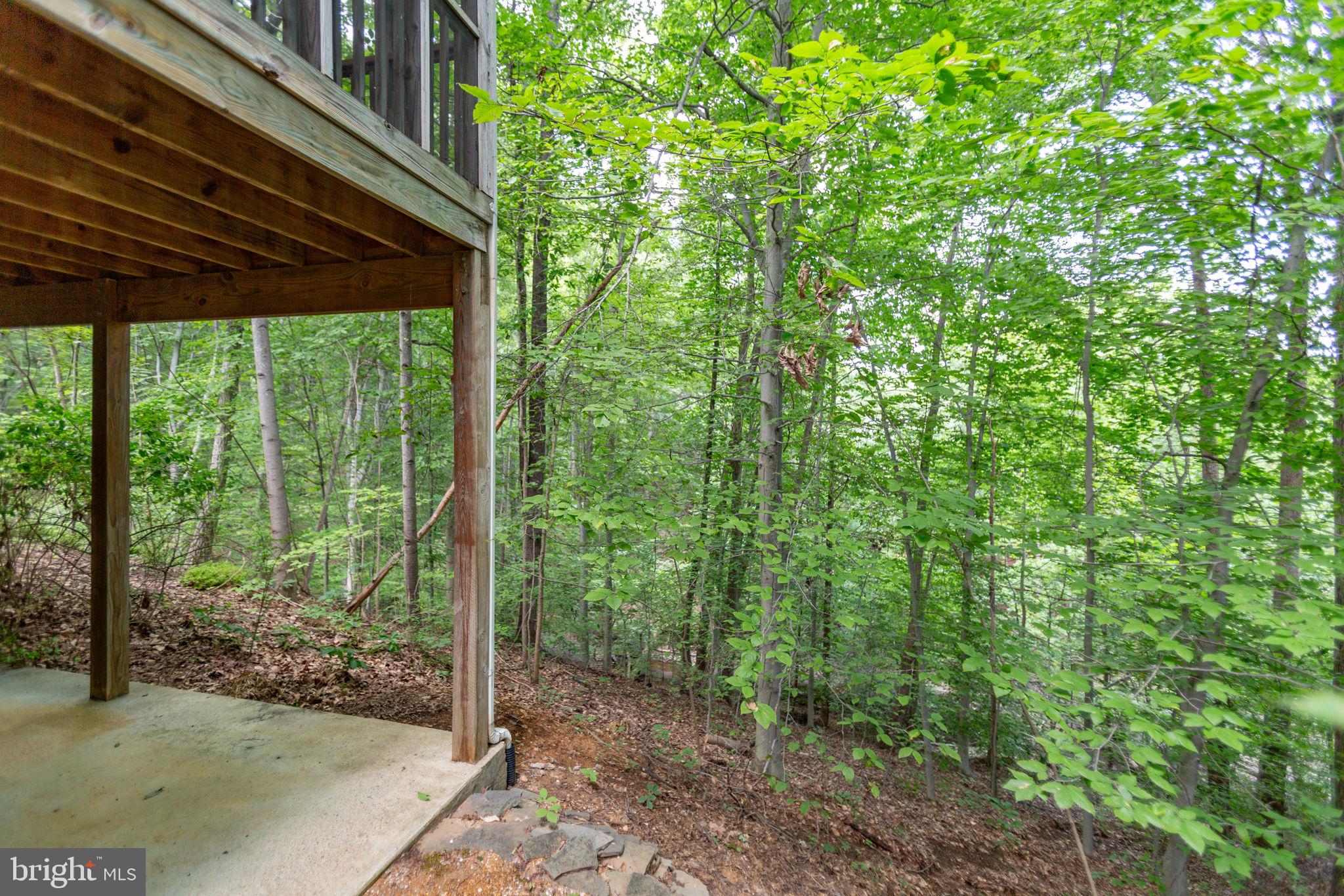 THE HILLS AT SNOWDEN - Residential