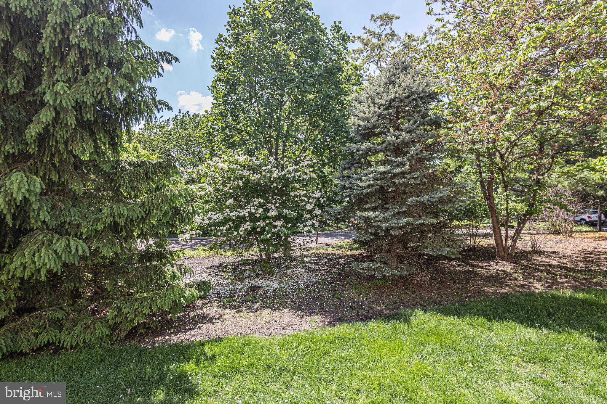 BREYER COURT - Residential