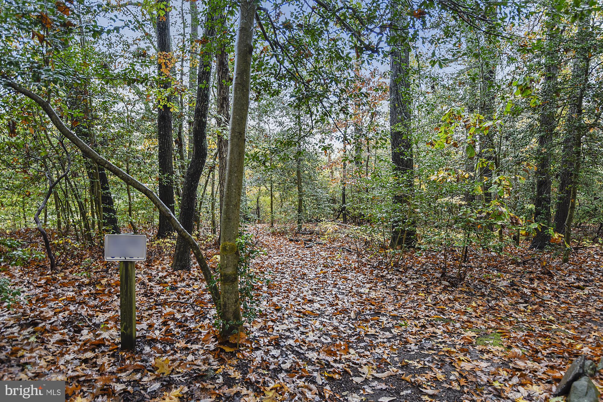 WOODS LANDING - Residential