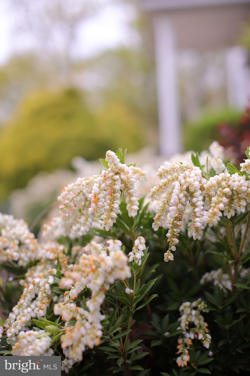 GREENELOVE ACRES - Residential