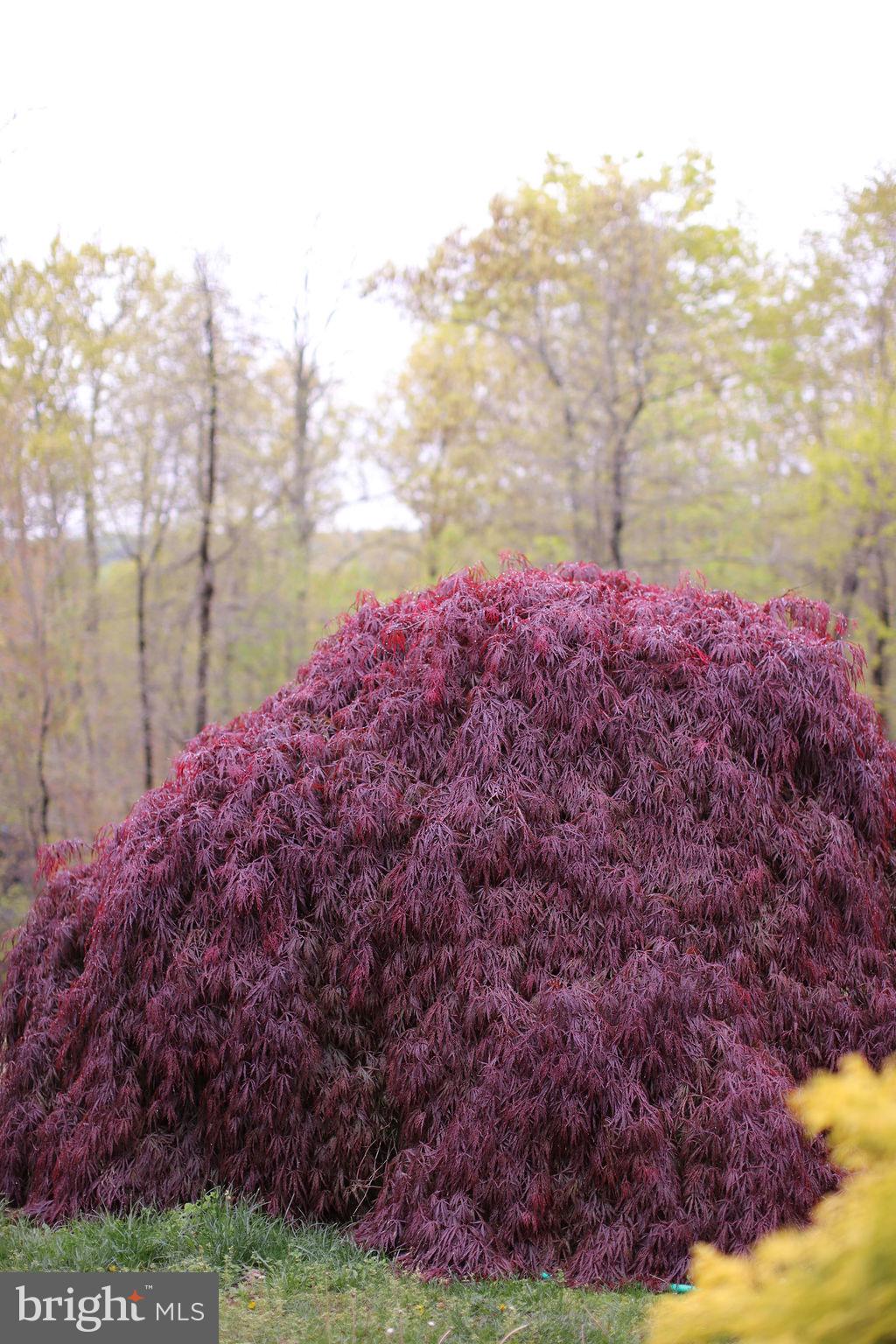 GREENELOVE ACRES - Residential