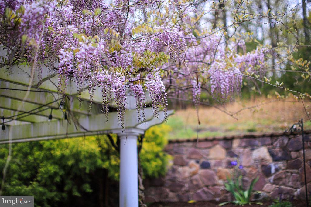 GREENELOVE ACRES - Residential