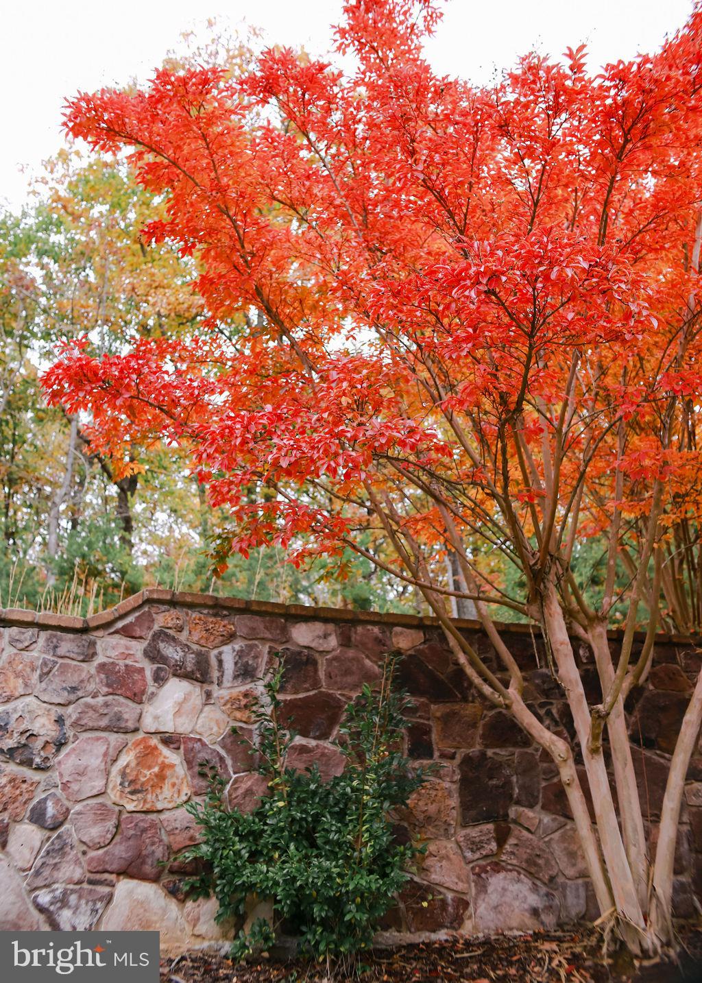 GREENELOVE ACRES - Residential